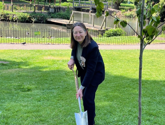 Mrs Beatrice Grant, the Lord-Lieutenant of Worcestershire, planting a tree in Gheluvelt Park